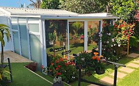Tranquil Garden Studio